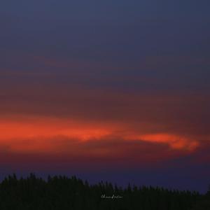 㓜交专区videossex另类幻交胖妹专区幻小女孩性交
