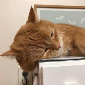 㓜交专区videossex另类幻交胖妹专区幻小女孩性交
