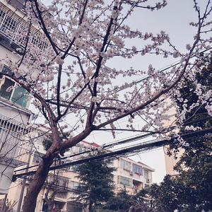 㓜交专区videossex另类幻交胖妹专区幻小女孩性交
